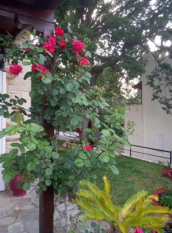Paradise Kriopigi Extérieur photo