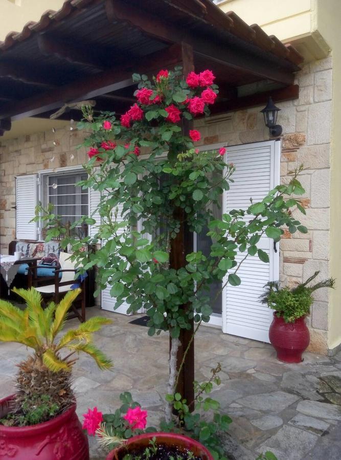 Paradise Kriopigi Extérieur photo